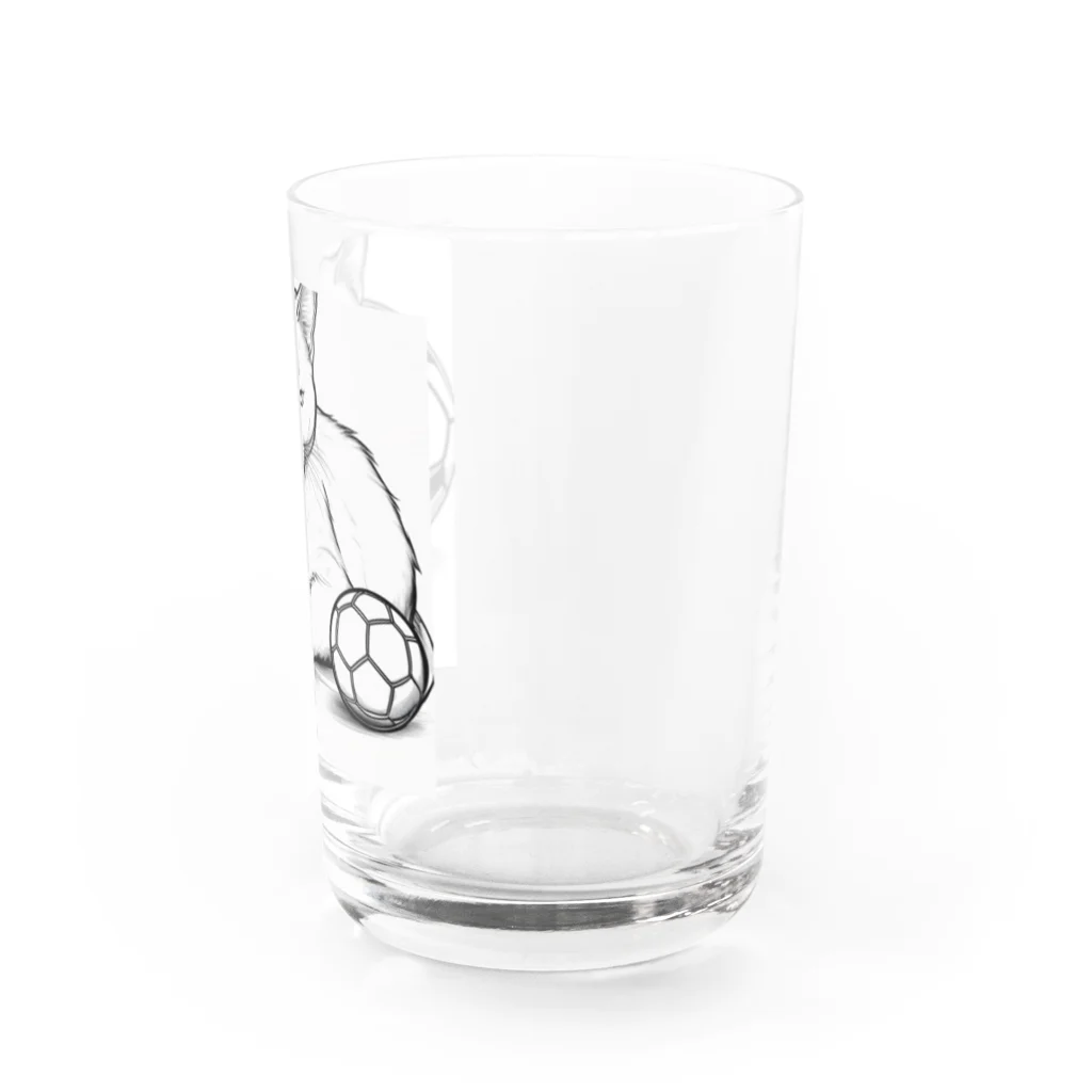 どうぶつやのサッカーボールと猫 Water Glass :right