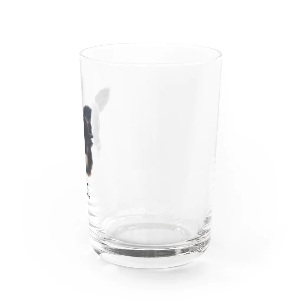 北欧系の雑貨好きのショップのAN Water Glass :right