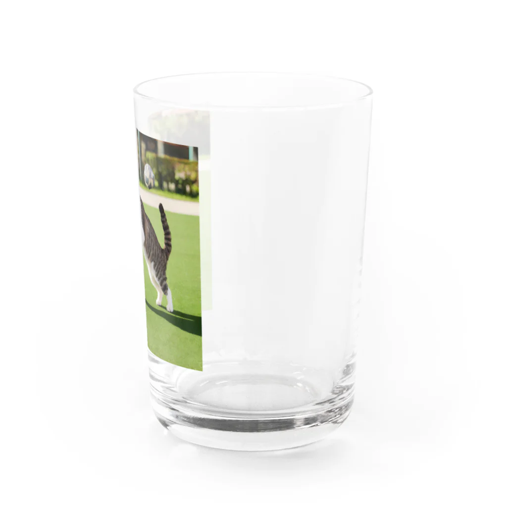 huwahuwa_nikonikoshopのサッカーするネコ Water Glass :right