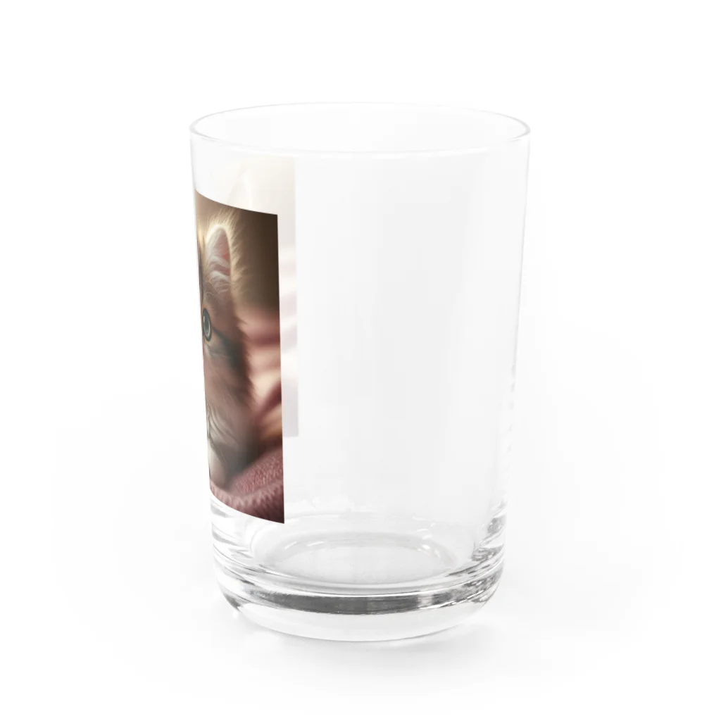 hakutaka289の可愛い猫（数量限定） Water Glass :right