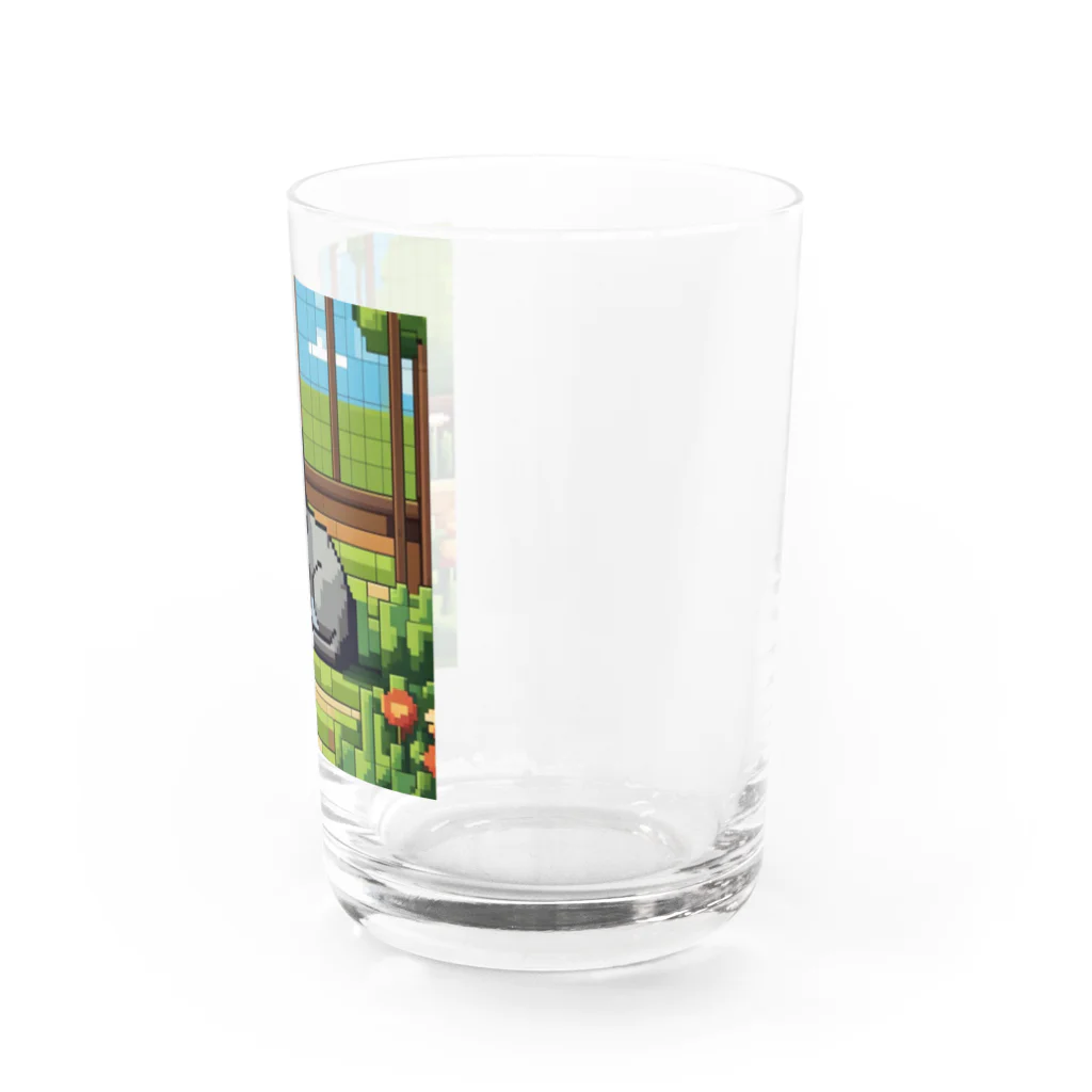 masaのガーデンで日向ぼっこしている猫 Water Glass :right