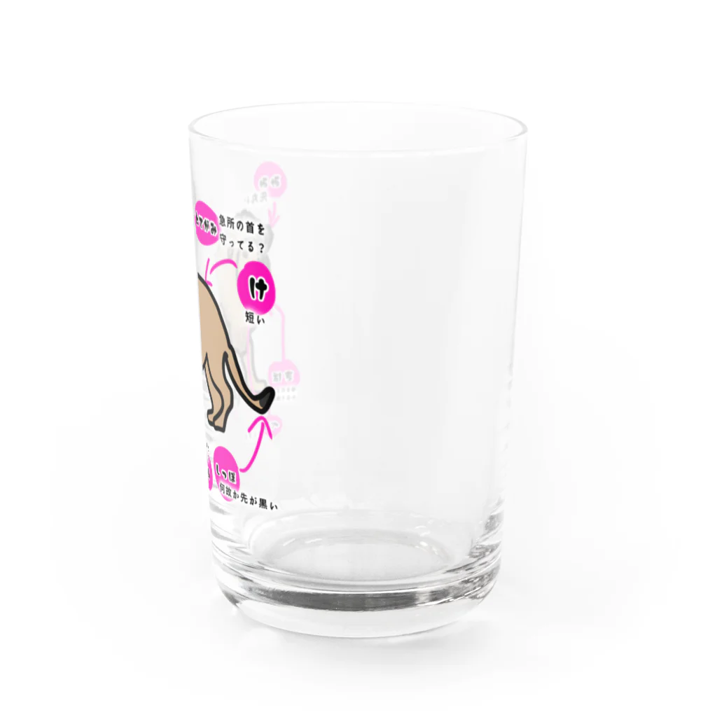 ko-jのライオン Water Glass :right