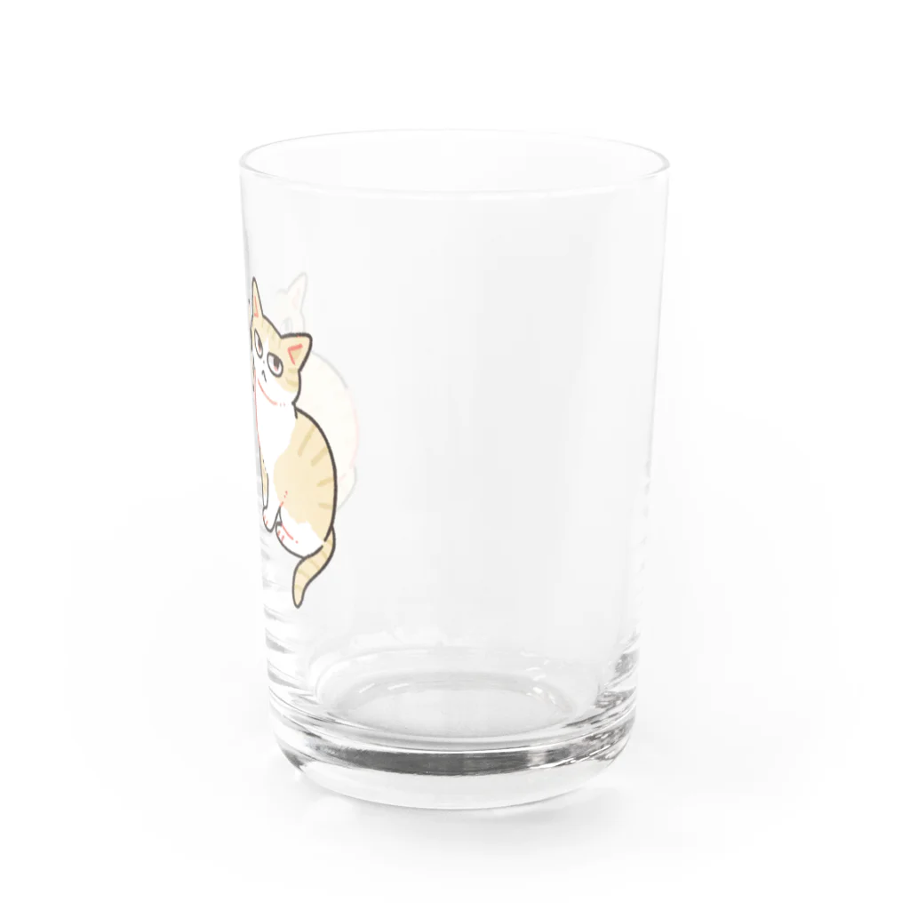 猫屋カエデの茶トラと茶トラ白猫 Water Glass :right
