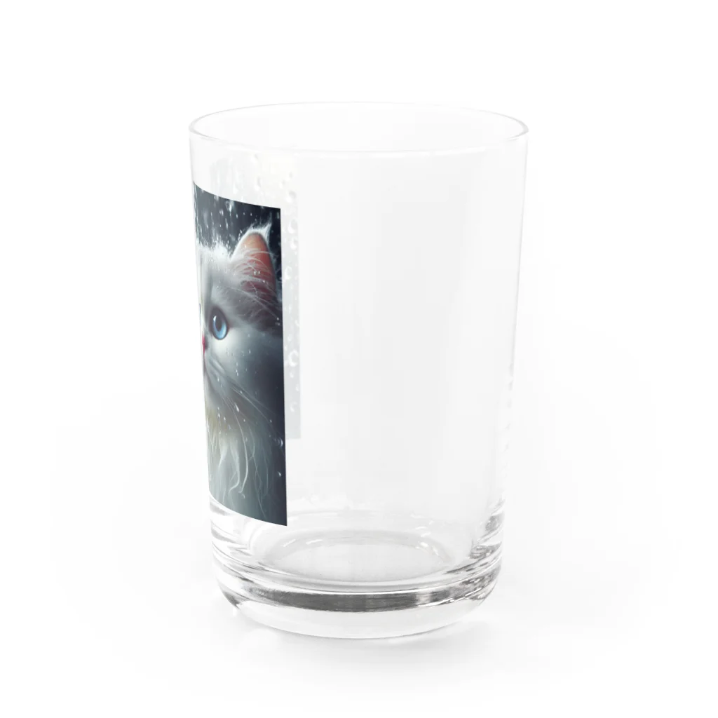 happy_meiの幸せをもたらす猫 Water Glass :right