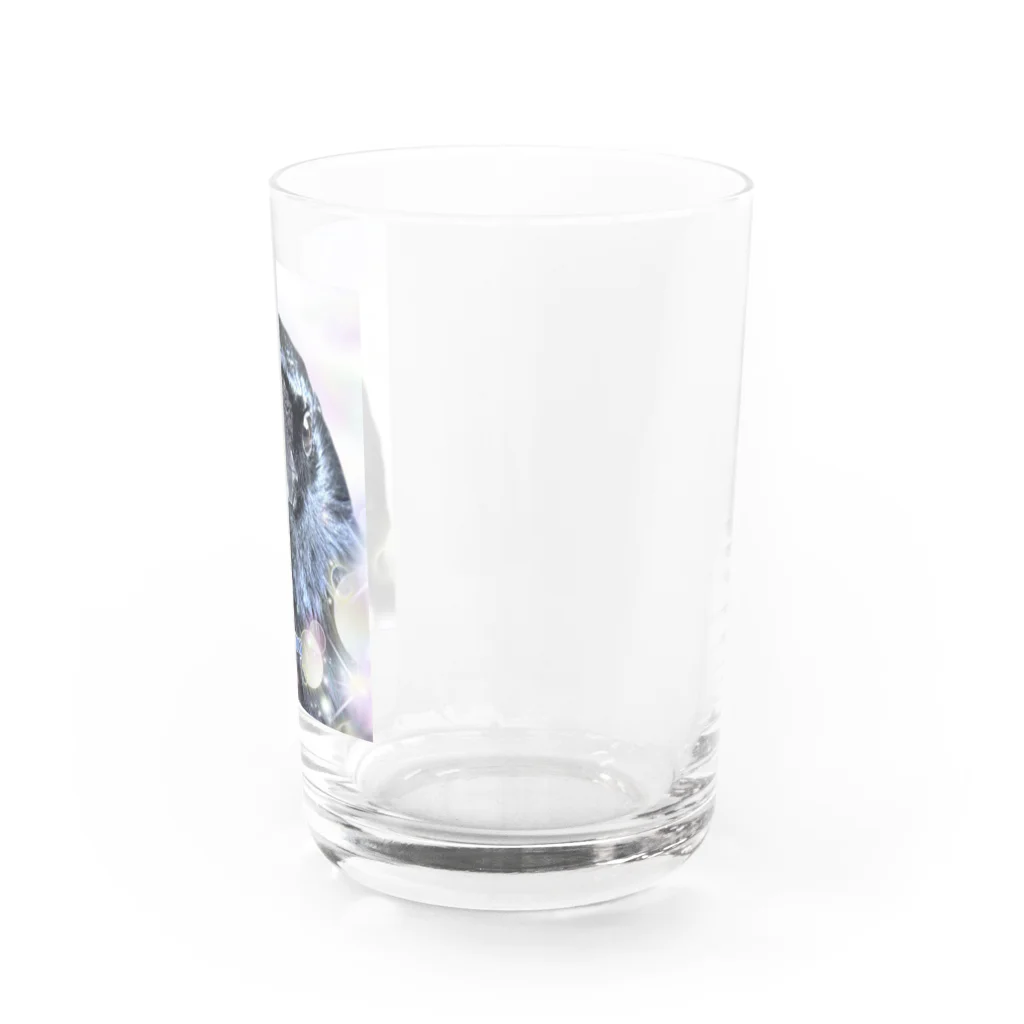 カラスのクッピのカラスのラビ Water Glass :right