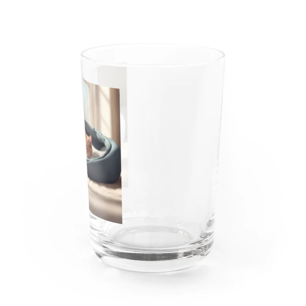 スウィート・アニマル・アートのお昼猫 Water Glass :right