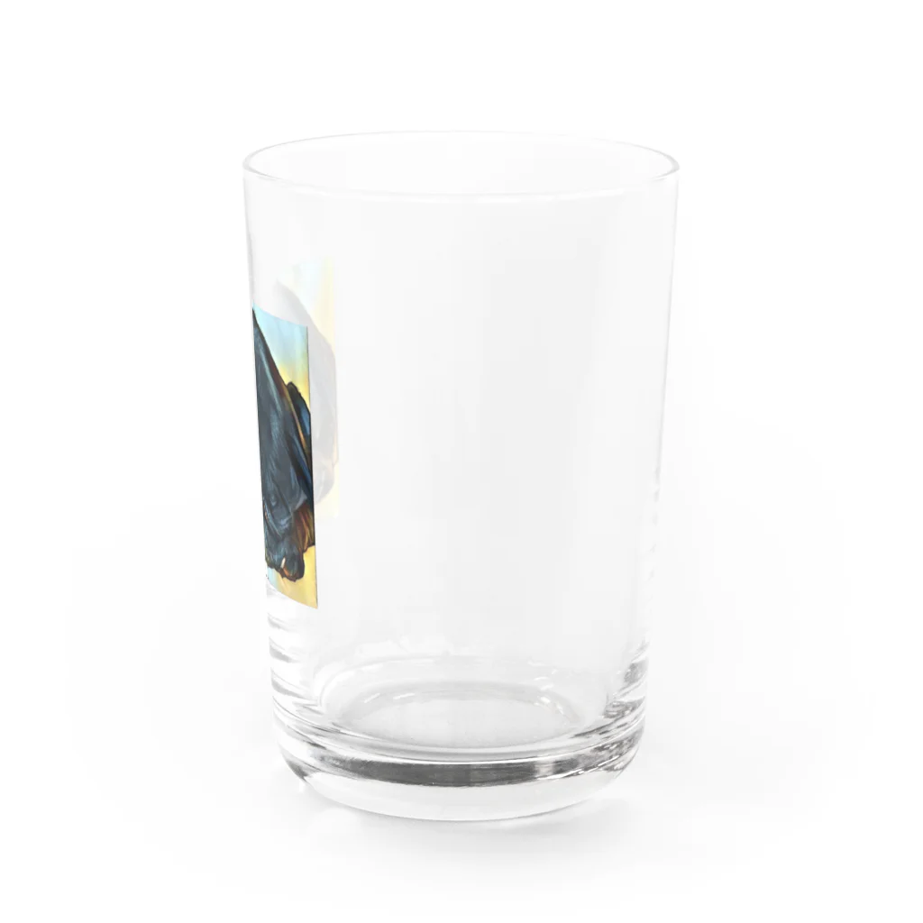 KenHana ハウスの黒パグケンちゃん癒しグッズ Water Glass :right