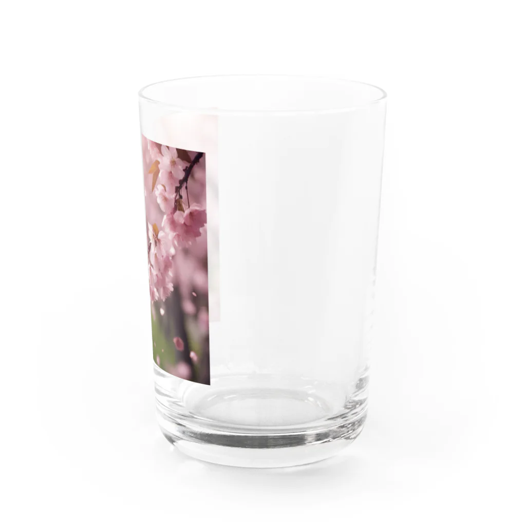 18cmの桜12 Water Glass :right