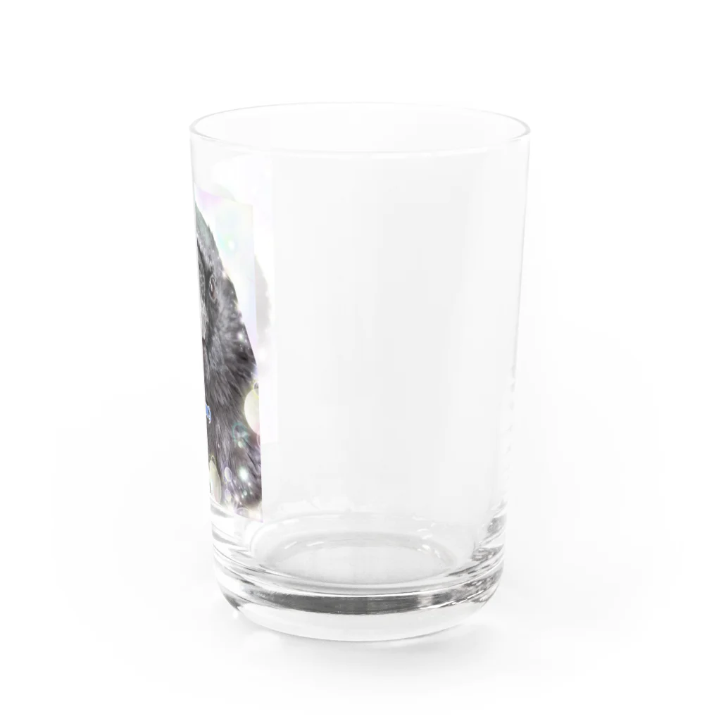 カラスのクッピのカラスのラビ Water Glass :right