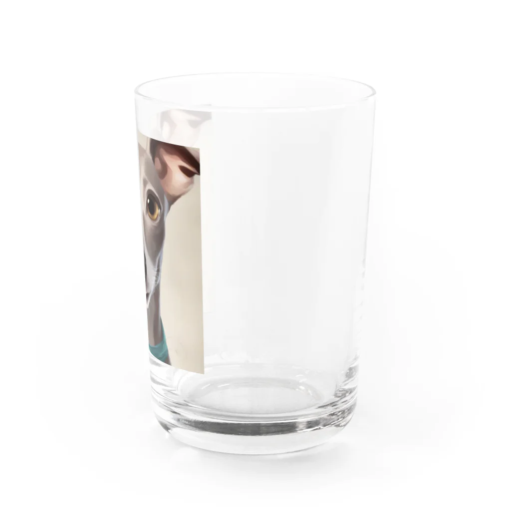 hono想(そう)イタグレ日記の笑顔のイタリアングレーハウンド Water Glass :right