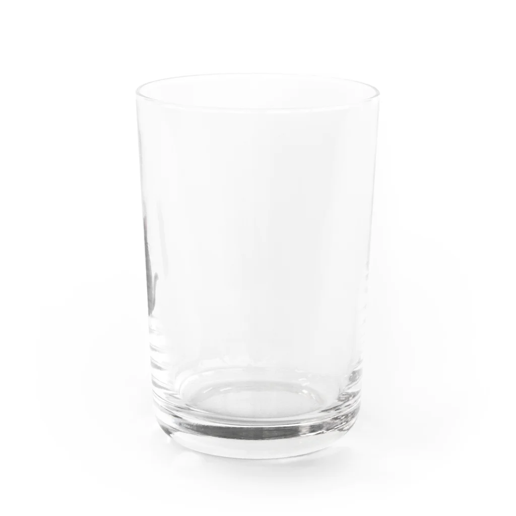 K-chanzのにゃんこグレー Water Glass :right