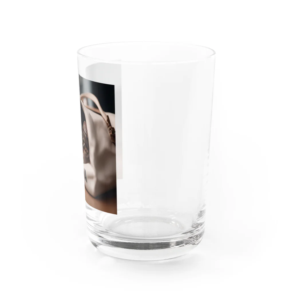 LuckyRiverShineの袋に入っている猫 Water Glass :right