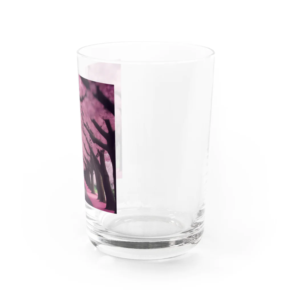 りばーあにまるの満開の桜道 Water Glass :right