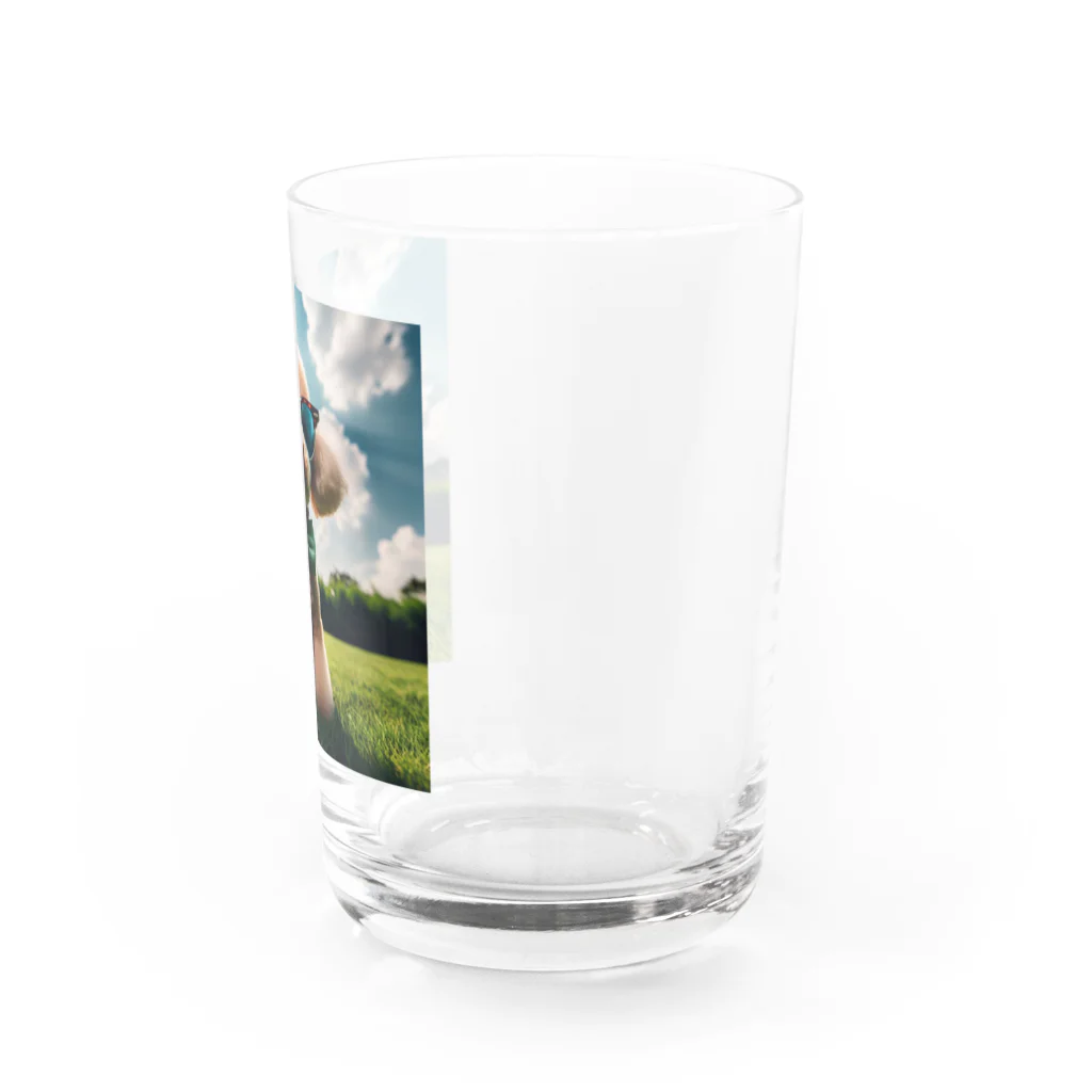 chibita08のグラサンプードル Water Glass :right