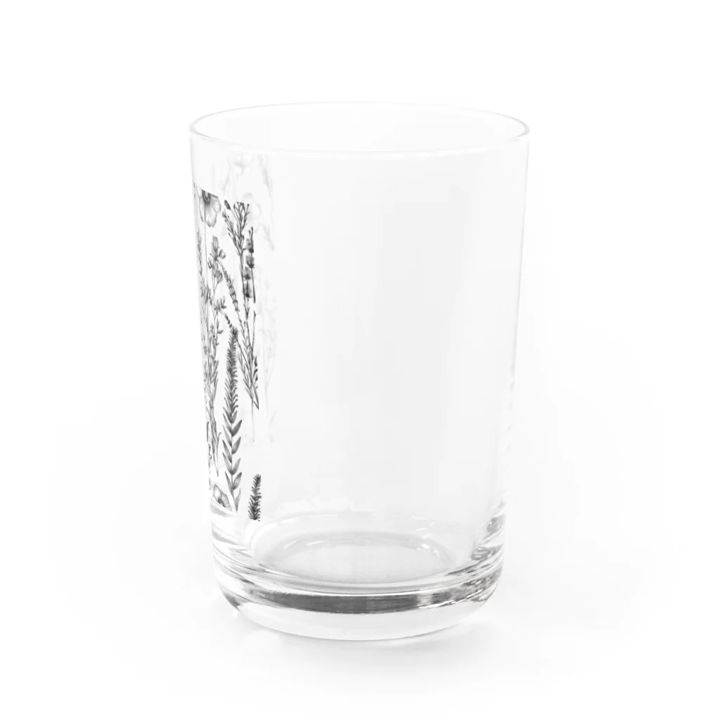 Chi3のモノクロームの植物図鑑 Water Glass :right