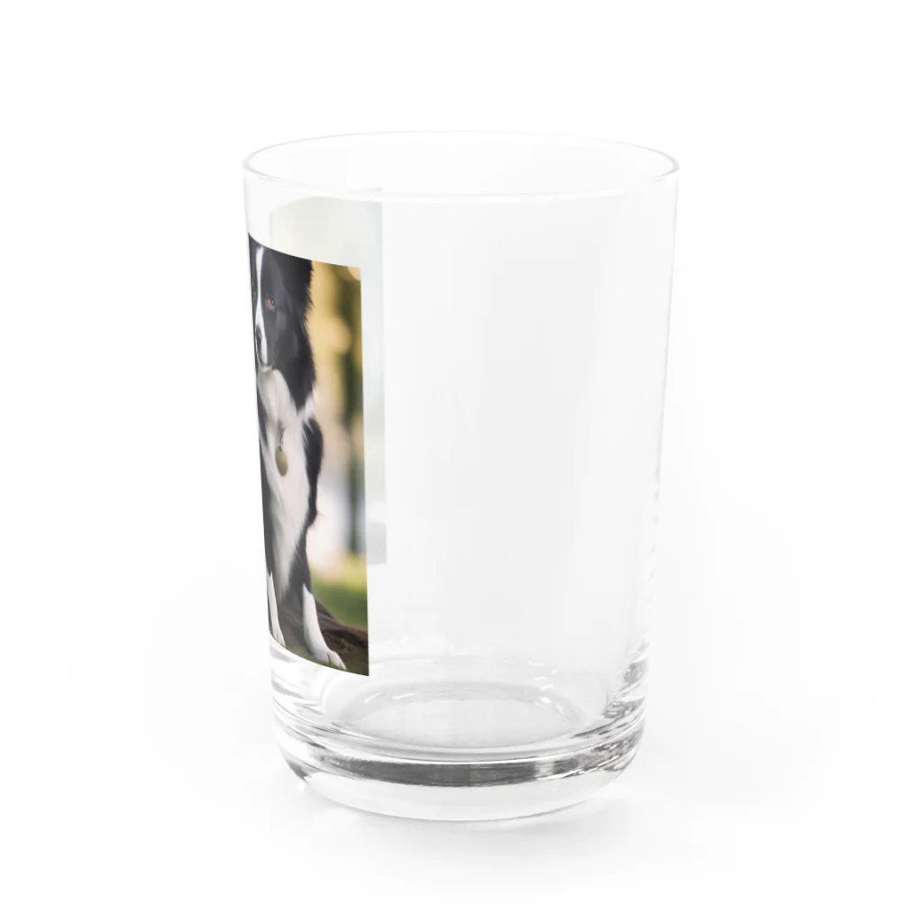 jthbcのペンダントをつけたワンちゃん Water Glass :right