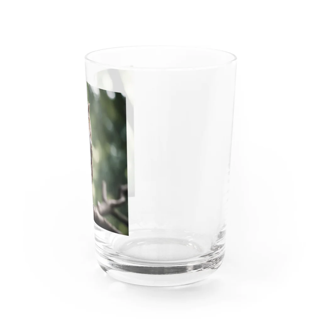 keistyleの森の番人　フクロウ Water Glass :right