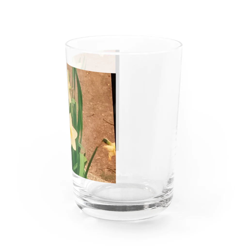 Aki-shopのスイレン Water Glass :right