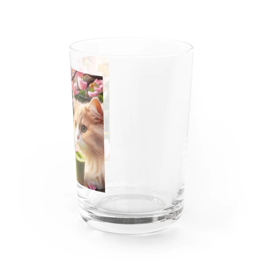 猫と紡ぐ物語の春の訪れを告げる桜満開 Water Glass :right