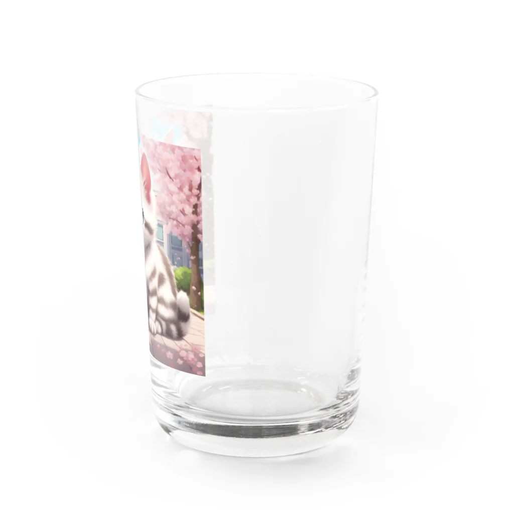 yoiyononakaの春と桜と虎縞白猫08 Water Glass :right