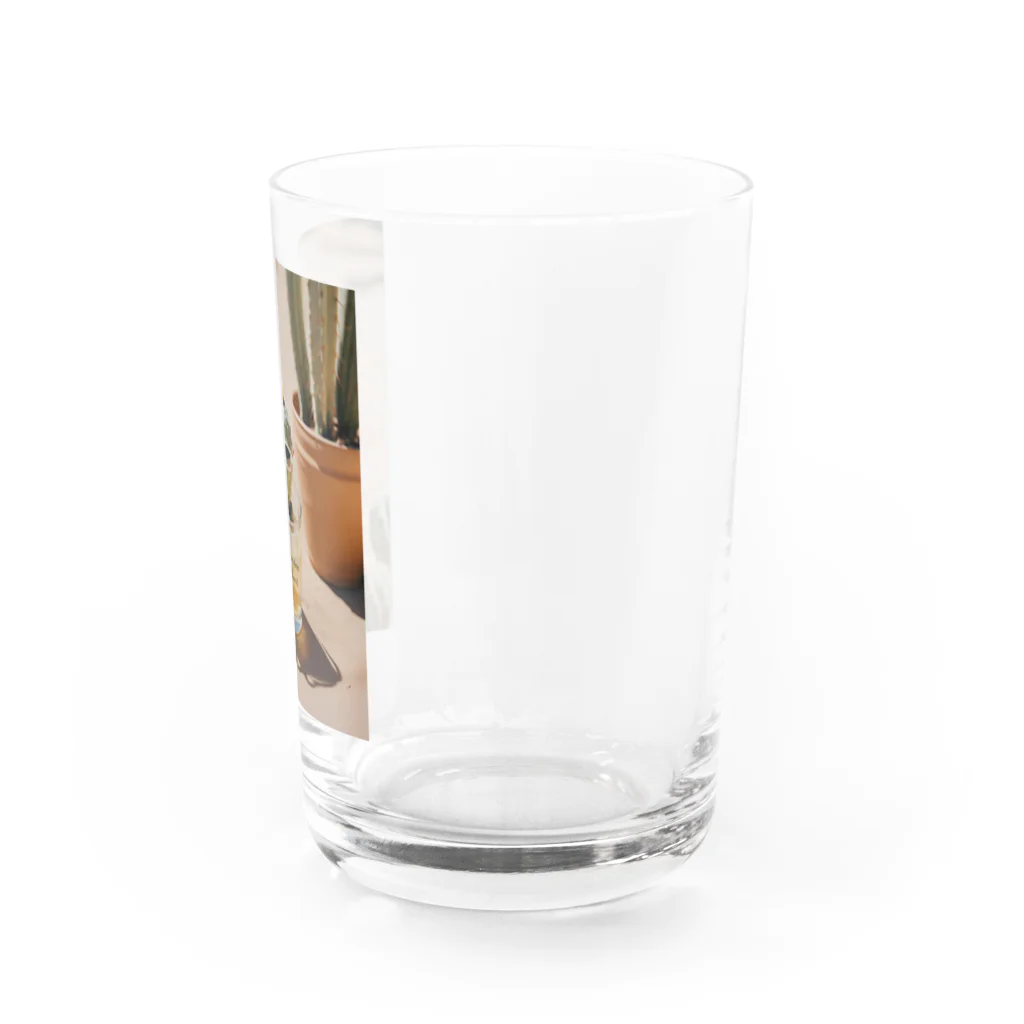 Takanori/ Clyde  FilmのVacations are there before you know it. Water Glass :right
