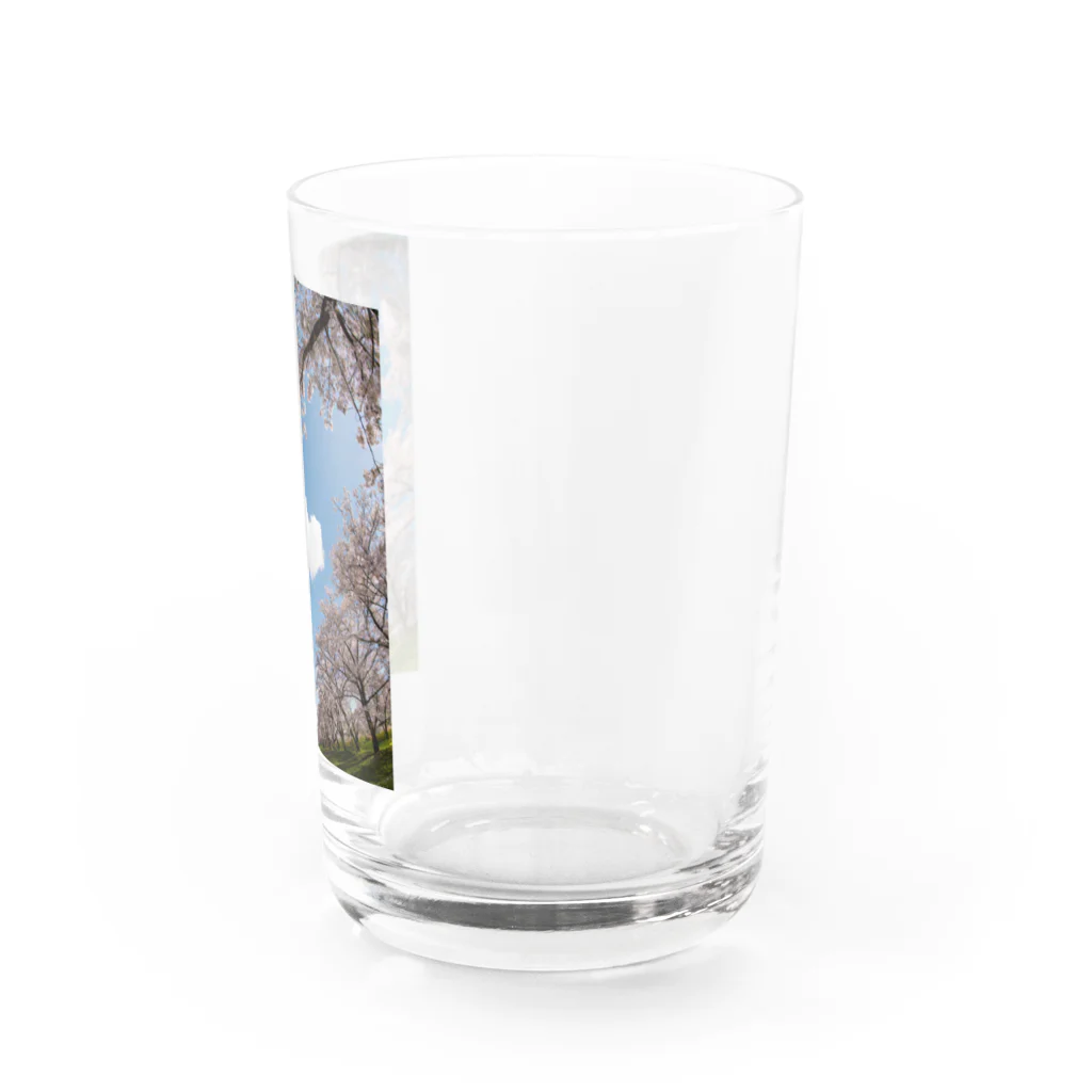 ぱんだまんのダブルハート Water Glass :right