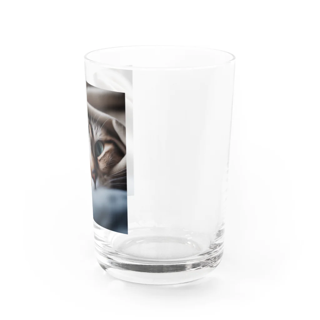 feliceの毛布の下に隠れている猫 Water Glass :right