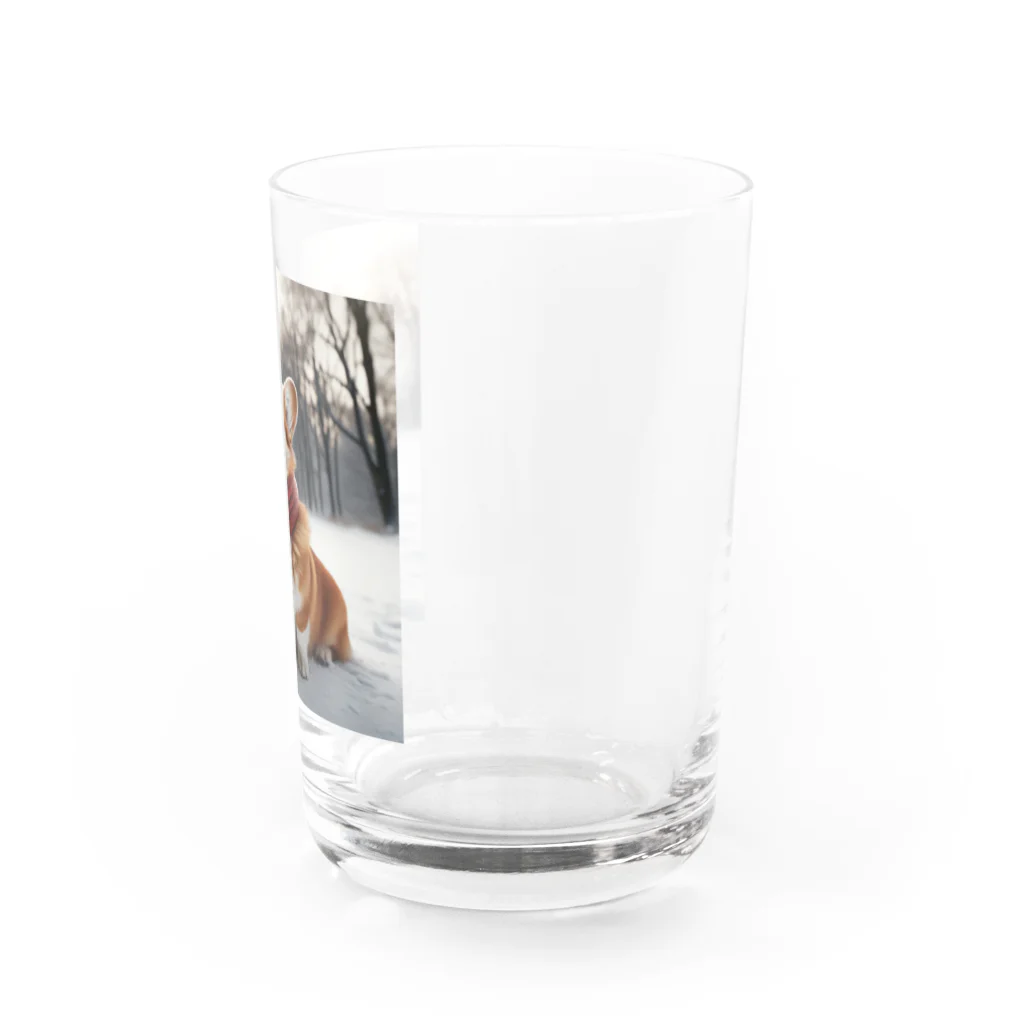 Colorful Canvasの寒さに耐えるコーギー Water Glass :right