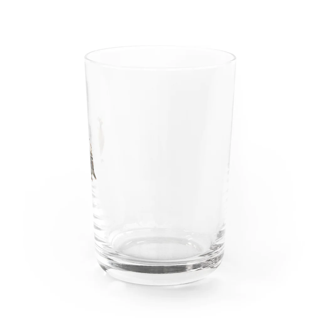 kikesdsのかっこいい雀 Water Glass :right