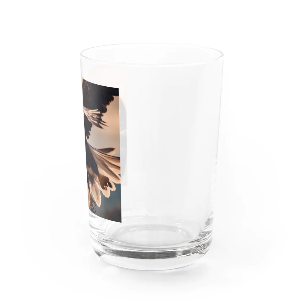 namuhatimanの空を飛ぶ鷲 Water Glass :right