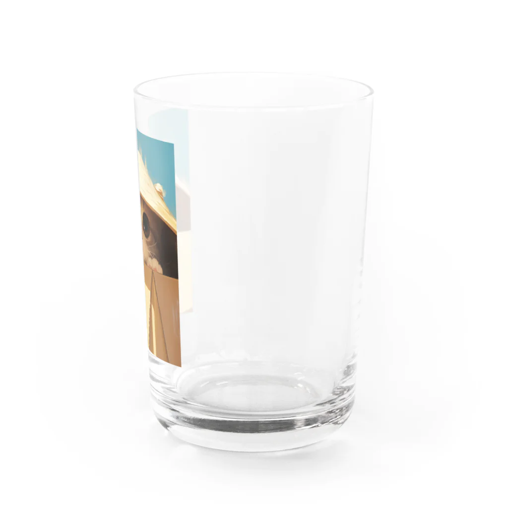 AQUAMETAVERSEの箱からのぞいている子猫　ラフルール　1859 Water Glass :right