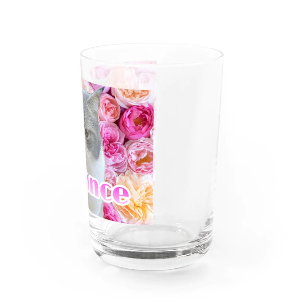 ChuChuChu♡のエレガンス猫 ～ヌコ～ Water Glass :right