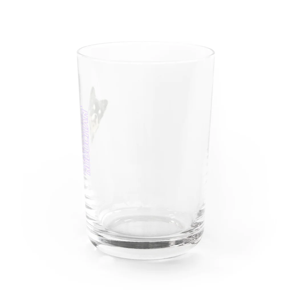 チワワの、のぶながSHOPのひょっこりのぶちゃん Water Glass :right