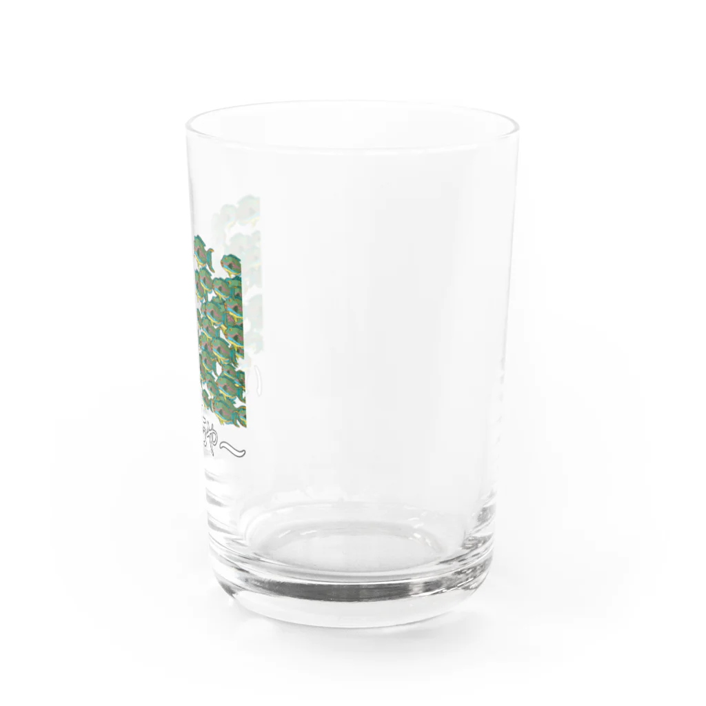 ニゴ猫　shopの魚群イラブチャ～ Water Glass :right