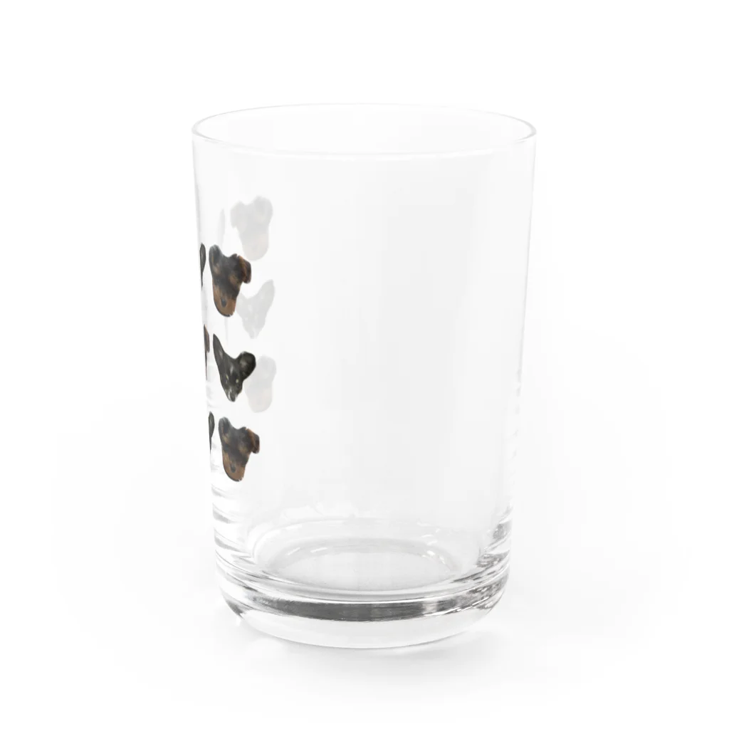 チワワのバレンとヨープーのテアのチワワとヨープー Water Glass :right