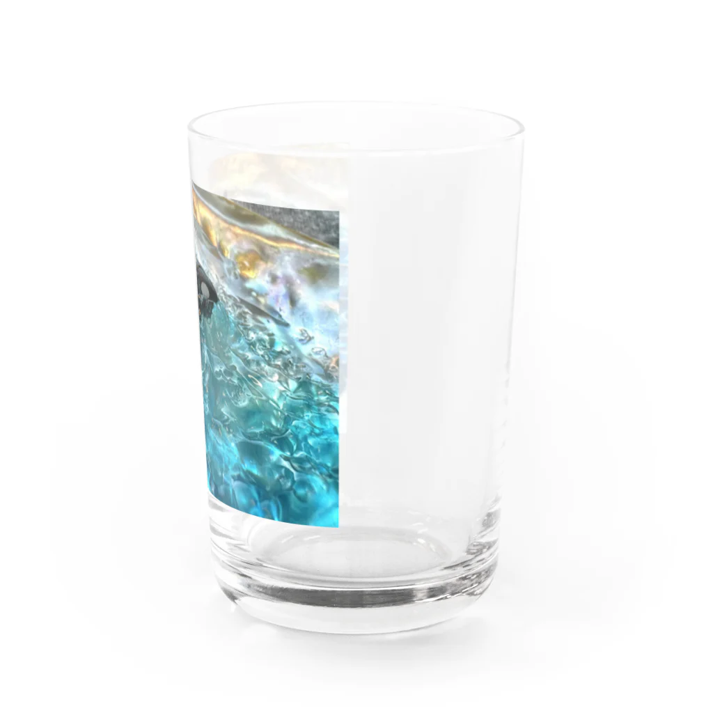 73Blue_risingのシャチくん Water Glass :right