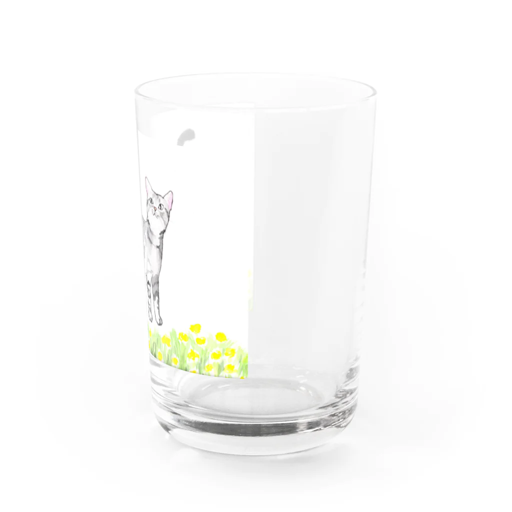 スタジオマリンのオシキャット Water Glass :right