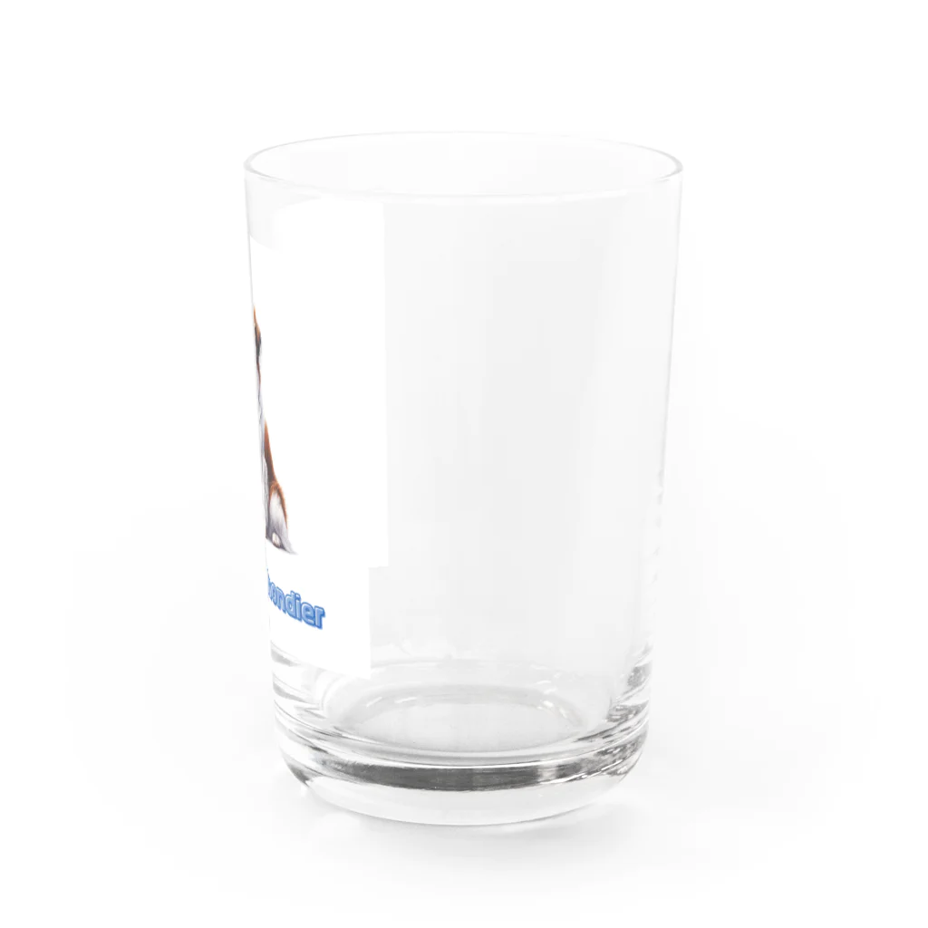 29chanのkoikerhondier犬 Water Glass :right