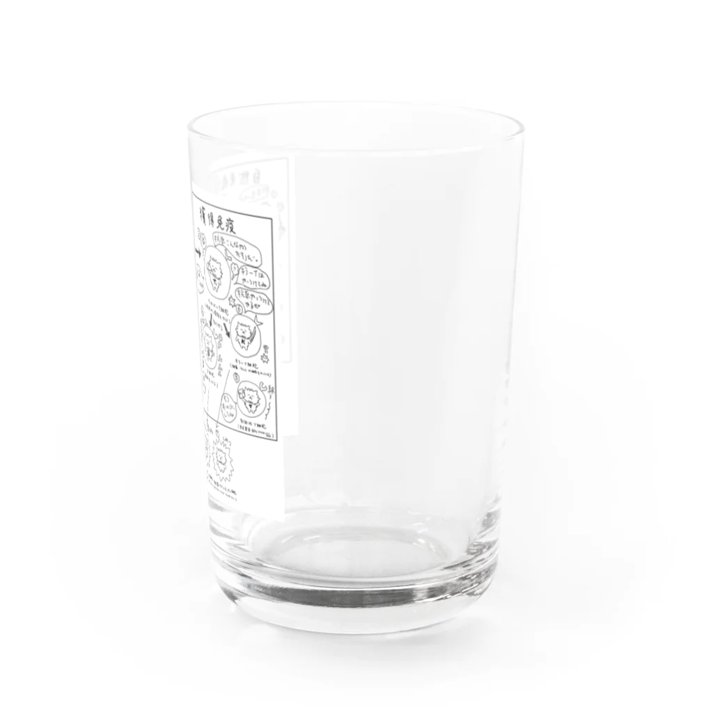 ネコグラシの自然免疫獲得免疫 Water Glass :right