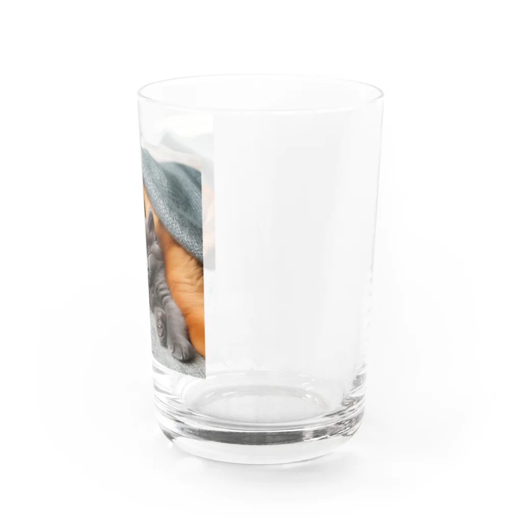 winwin6126の仲良し癒しタイム！ Water Glass :right