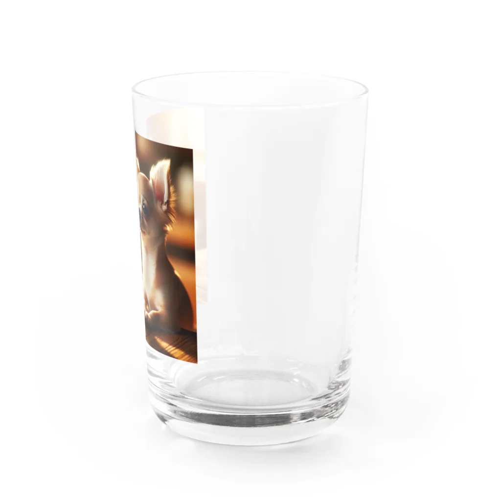 しんすけのチワワ Water Glass :right