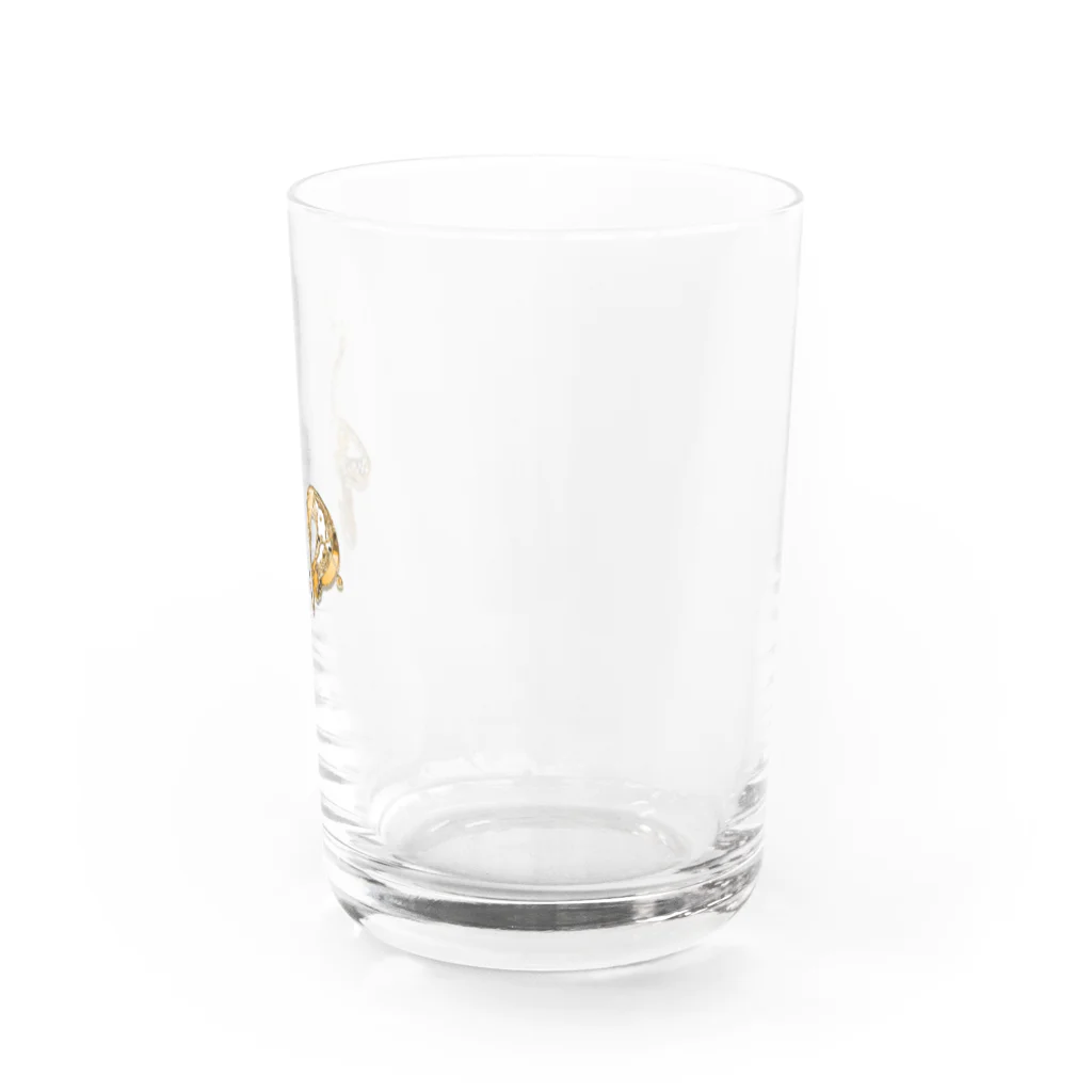 calligra_rtの【和】a land of gold Water Glass :right