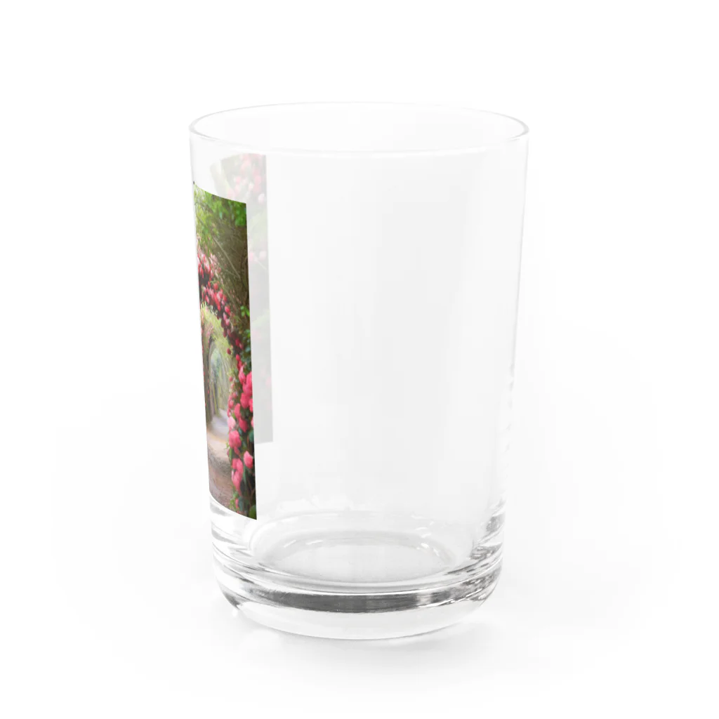 AQUAMETAVERSEの椿のドーム　なでしこ1478 Water Glass :right