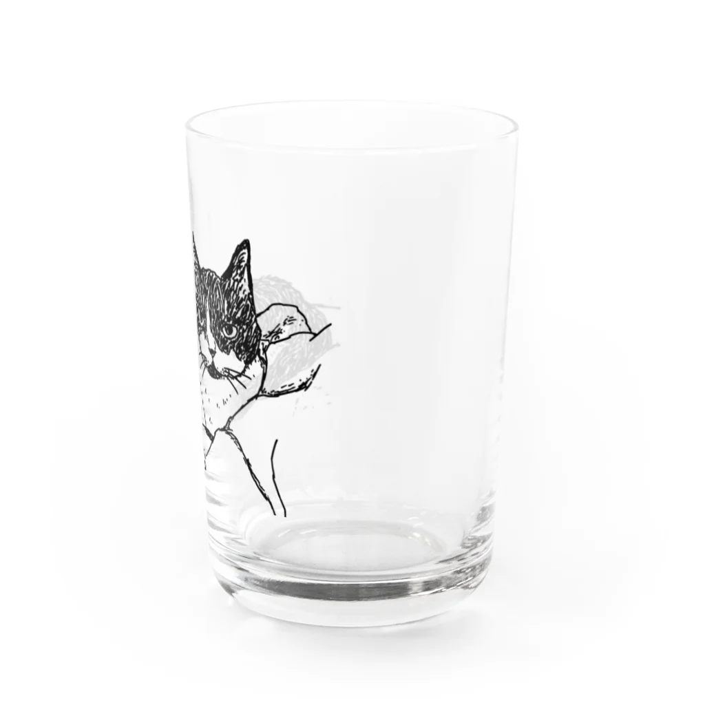 もちけらのにんまり 猫ちゃん。 Water Glass :right