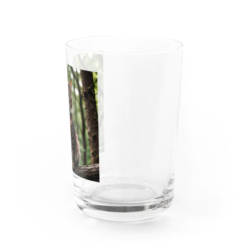 Shigeto Galaxy2hbの森の猫 Water Glass :right