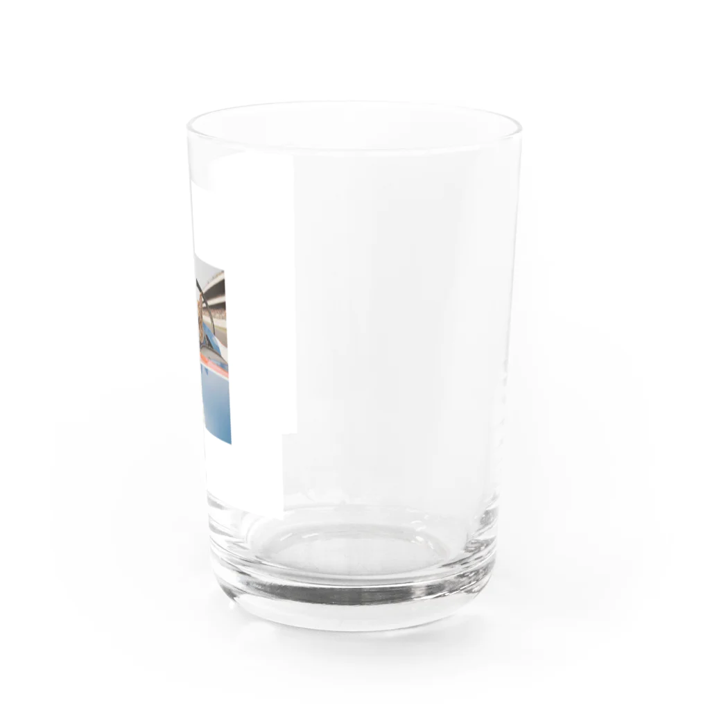 保護ねこねっこ倶楽部のスピードスターにゃんこ Water Glass :right