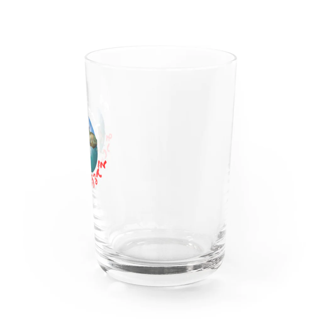 Yanjiisのアオリちゃん　気合 Water Glass :right