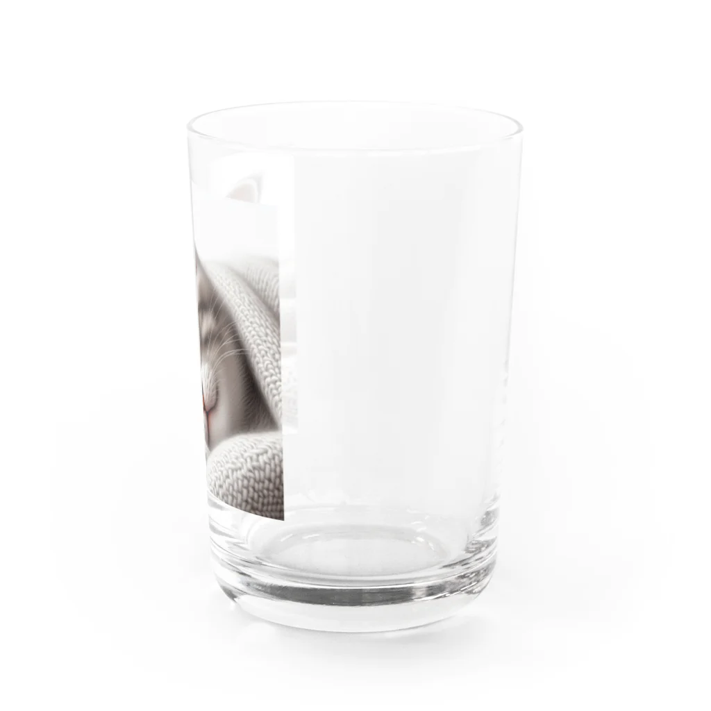 kangekiのお昼寝にゃんこNo.4 Water Glass :right