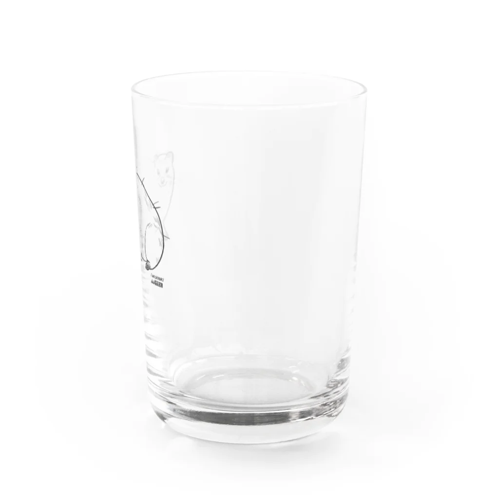 カツカレーのイワダヌキ（淡色） Water Glass :right