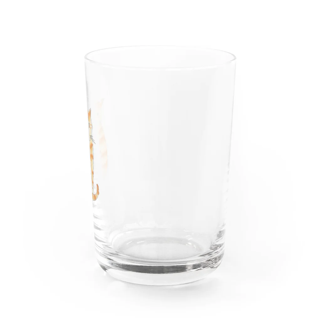 スッポンPONグッズのたわしちゃん Water Glass :right
